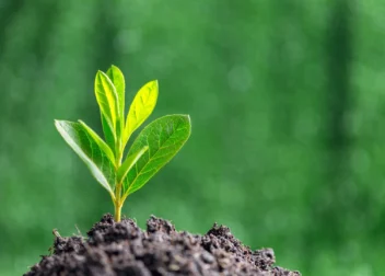 dia-de-la-tierra-unicentro-maracay