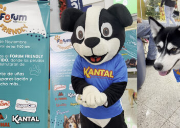 jornada--Adopción--Maracay